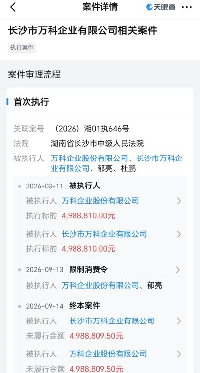 万科及郁亮首次被限制高消费 此前被执行近500万元